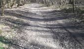 Randonnée Marche Mont-Saint-Aignan - Mont-saint-aignan- Chasse marée. sens inversé- 13km - Photo 2