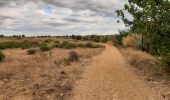 Tocht Stappen Saint-Nazaire - m'as d allo - Photo 12