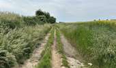 Trail Walking Dour - Élouges 17 km - Photo 9