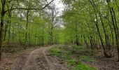 Trail Walking Tinlot - Bois de Forkechamps - Photo 1