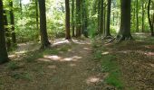 Excursión Bici eléctrica Ronse - Renaix - bois Louise Marie - par sentiers - Photo 9