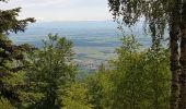 Randonnée Marche Sainte-Marie-aux-Mines - Col du Haut de Ribeauvillé - Rochers des Géants (Rother n°31) - Photo 6