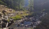 Trail Walking Villars-Colmars -  Cabane Joyeux - Photo 5