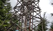 Excursión Marcha nórdica Gérardmer - ramonchamp. observatoire de merelle, saut de la bourrique  - Photo 6