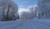 Randonnée Raquettes à neige Léoncel - Le Grand Echaillon - Les Crêtes de la Sausse - Photo 2