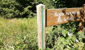 Randonnée Marche Gespunsart - Gespunsart - Le Bois de Bas - Chemin des Gardes - Photo 2