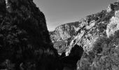 Trail Walking La Palud-sur-Verdon - Chalet de la Maline - Point Sublime - Photo 11