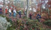 Excursión Senderismo Fontainebleau - 8 routes 9 décembre 2022  - Photo 3