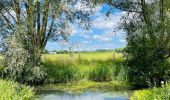 Tour Wandern Deinze - La vallée de l’Oude Kale à Merendree - Photo 1