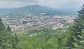 Randonnée Marche Saulcy-sur-Meurthe - Massif du KEMBERG - Photo 10