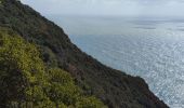 Tocht Stappen Riomaggiore - Riomaggiore to Porto Venere  - Photo 9