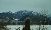 Tour Zu Fuß Strobl - Seeuferweg Strobl-Abersee - Photo 3