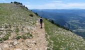 Excursión Senderismo Châtillon-en-Diois - Les Cabanes de Châtillon (Glandasse) - Photo 20