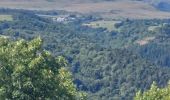 Tour Wandern Saint-Victor-la-Rivière - romaine  - Photo 1