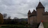 Tocht Stappen Val-de-Virieu - Les 2 Châteaux - Photo 1