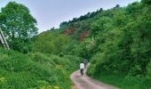 Tour Zu Fuß Wettin-Löbejün - Rundweg Nußgrund Tannengrund Rothenburg - Photo 8