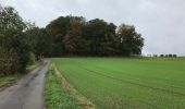 Tour Wandern Wintger - Asselborn 22 km - Photo 1