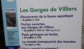 Tocht Stappen Saint-Ouen-le-Brisoult - Saint-Ouen de Brisoult - Goeges de Villiers - Photo 18