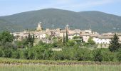 Tour Wandern Cadenet - PF-Cadenet - De Cadenet à Lourmarin - 2 - Photo 1