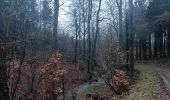 Tour Wandern Amel - forêt à Heppenbach  - Photo 8