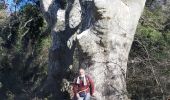 Trail Walking Salernes - SALERNES-Sillans la Cascade-14-12-2021-DRI - Photo 2