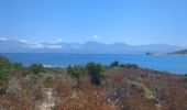 Tour Wandern Santo-Pietro-di-Tenda - sentier côtier entre la plage du Lotus et Sallecia - Photo 10