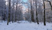 Trail Walking Spa - berinzenne entre forêt et fagne  - Photo 19
