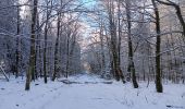 Randonnée Marche Spa - berinzenne entre forêt et fagne  - Photo 19