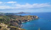 Percorso Marcia Banyuls-sur-Mer - Banyuls_Peyrefite_bis_T - Photo 10