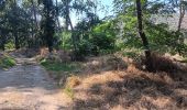 Tocht Stappen Rodès - gorges de la Aguilera . mas pla . tetour par les ruines et Rodes - Photo 15