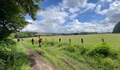 Tour Wandern Libramont-Chevigny - Pégase-De gare en gare Libramont-Poix Saint Hubert - Photo 3