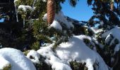 Tocht Sneeuwschoenen Corrençon-en-Vercors - la cabane de Goupette et cabane de Carette CORENCON - Photo 2