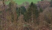 Tocht Stappen Stoumont - chevron ( promenade de la chapelle ) - Photo 10