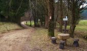 Randonnée A pied Pegnitz - Rundweg Hollenberg 4 grün - Photo 9