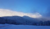 Tocht Sneeuwschoenen Sarcenas - Le  Mont Fromage et ses crêtes - Photo 15