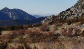 Randonnée Marche La Roche-sur-le-Buis - la montagne de Banne  - Photo 15