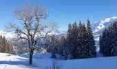 Trail Snowshoes Demi-Quartier - Montée chalet de la Vielle-Beauregard-la Ravine. Descente Fouettaz - Photo 1