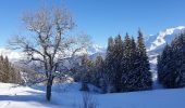 Tocht Sneeuwschoenen Demi-Quartier - Montée chalet de la Vielle-Beauregard-la Ravine. Descente Fouettaz - Photo 1