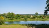 Excursión A pie Höxter - Erlesene Natur - Dem Wasserdrachen auf der Spur - Photo 2