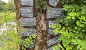Tour Wandern Florenville - Azy-les épioux depuis Chassepierre - Photo 11