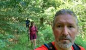 Trail Walking Bouillon - Poupehan Bouillon A/R 27 km - Photo 12