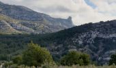 Trail Walking Marseille - Les Monts de Luminy  - Photo 2