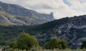 Tour Wandern Marseille - Les Monts de Luminy  - Photo 2