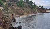 Trail Walking Argelès-sur-Mer - Argelès Collioure par la côte - Photo 8