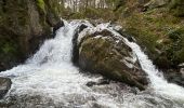 Trail Walking Le Tholy - Les 2 cascades du Tendon (grand tour) - Photo 6