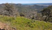 Trail Walking La Garde-Freinet - LA GARDE FREINET - PATRIMOINE DES MOULINS ET CHAPELLES - Photo 1