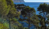 Tour Wandern Cassis - Cassis calanque port pin calanque d'en Vau - Photo 4