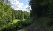 Trail Walking Huy - Huy 20 km bois  - Photo 4