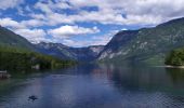 Percorso Marcia Bohinj - lac de Bohinj - Photo 1