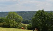 Tour Wandern Pepinster - 20230612 - Cornesse 5.9 Km - Photo 6